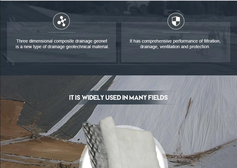 Goed hydraulisch geleidingsvermogen 3D drainagecomposite net voor tunnels 0