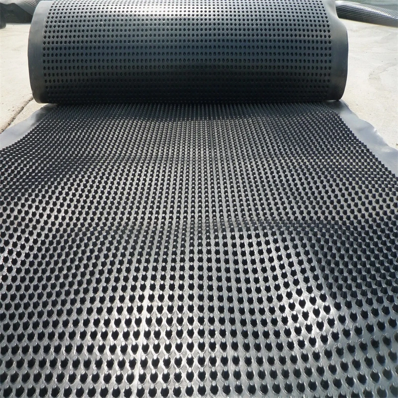 Groenbouwproject PVC-geperforeerd dimpeldrainageplank Grondwerk Wateroplossing Wateroplossing 10