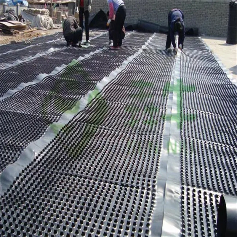 Groenbouwproject PVC-geperforeerd dimpeldrainageplank Grondwerk Wateroplossing Wateroplossing 15
