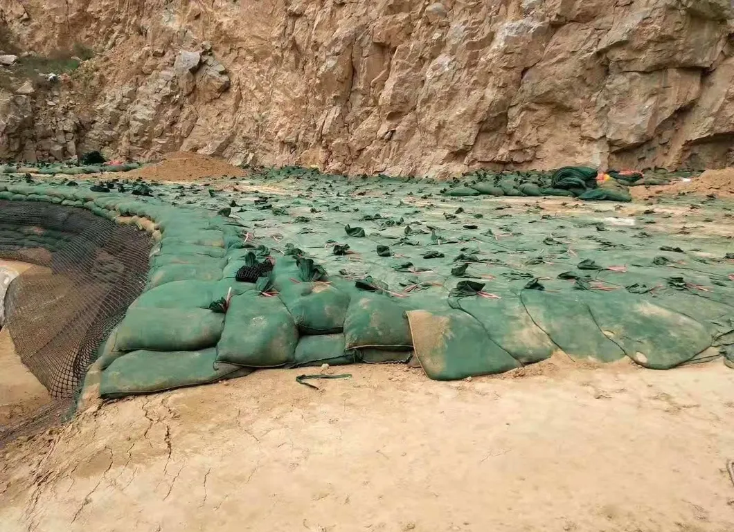 Geobags van polyester / PP voor hellingsbescherming en grasdam voor ecologisch milieu 0