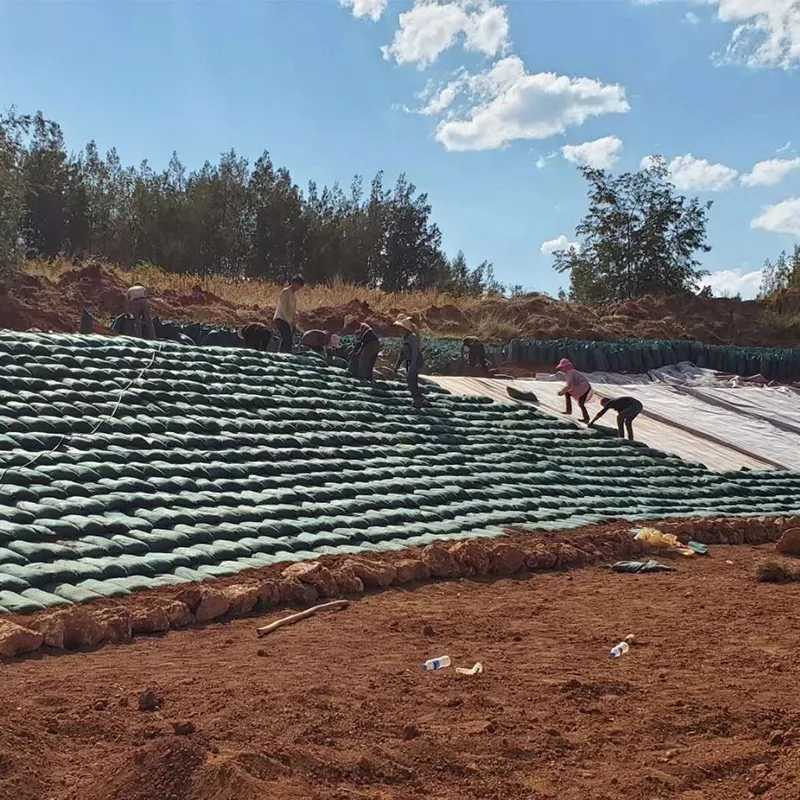 Geobags van polyester / PP voor hellingsbescherming en grasdam voor ecologisch milieu 10