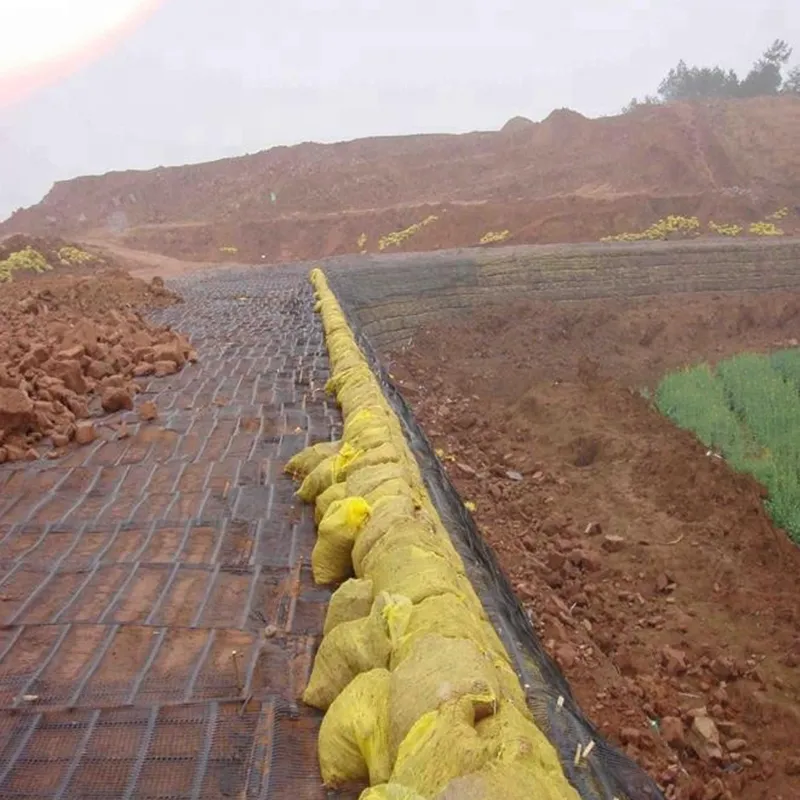 Plastic polypropyleen PE eenrichtingsverbindend eenassig trekverbindend geogrid van kunststof voor versterking van de weg 5