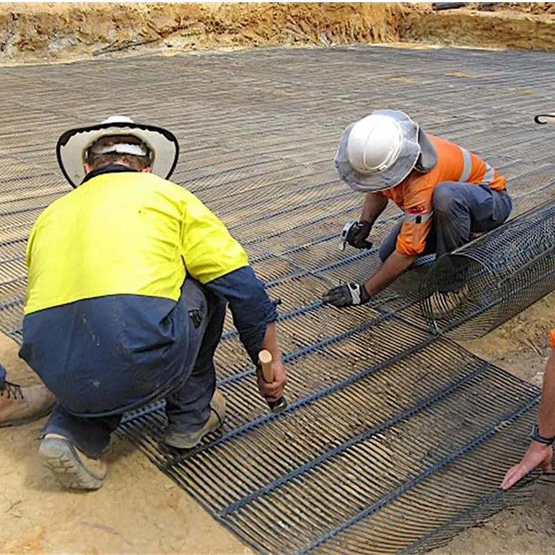 Plastic polypropyleen PE eenrichtingsverbindend eenassig trekverbindend geogrid van kunststof voor versterking van de weg 6