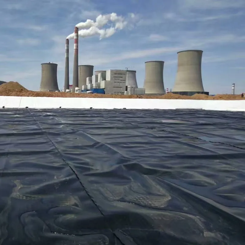 Buiten-polyethyleen vishouderij Geomembrane vijvervoering HDPE-containmentvoering Grote vijvervoering Waterdicht geomembrane vijvervoering 1