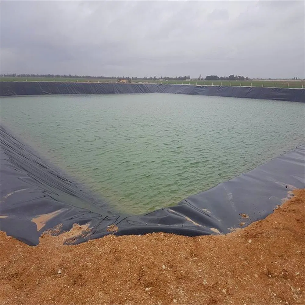 Buiten-polyethyleen vishouderij Geomembrane vijvervoering HDPE-containmentvoering Grote vijvervoering Waterdicht geomembrane vijvervoering 2