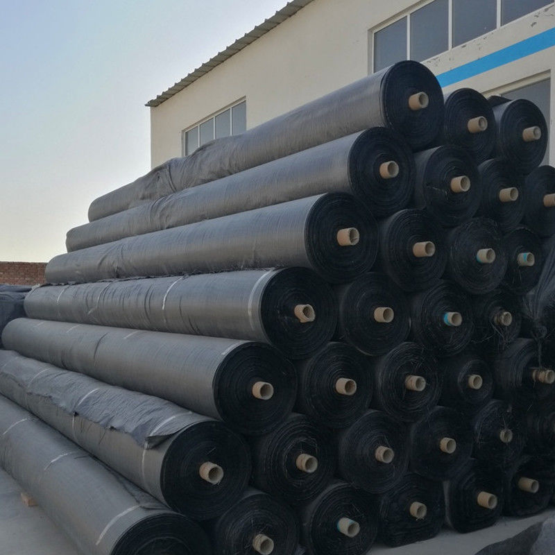 Stabilisatiepp Geotextile Geogrid Geweven Stof voor het Product van de Grondversterking