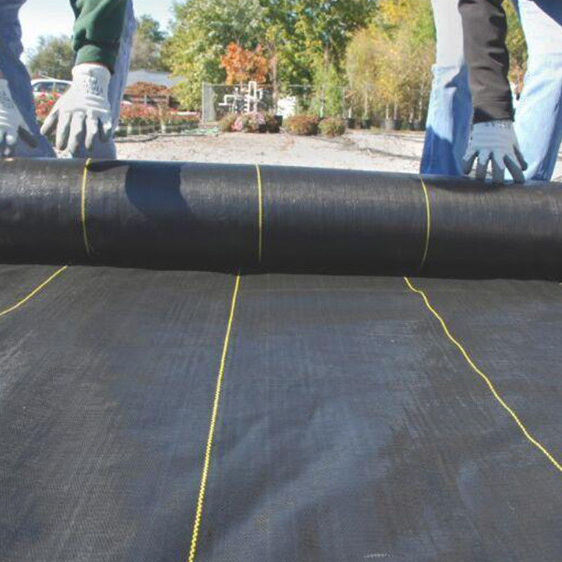 Stabilisatiepp Geotextile Geogrid Geweven Stof voor het Product van de Grondversterking