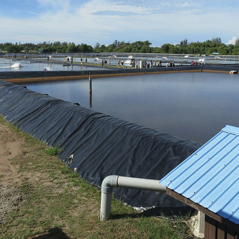 Waterdichte HDPE-geomembrane vijvervoering voor watertanks Vissen garnalenboerderij 0,2 - 2,5 mm
