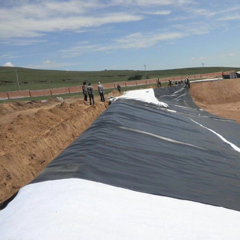 HDPE-geomembrane waterdichtingsliner / zwembadliner / georiënteerd wegbouwmateriaal stortplaats biogasdigester