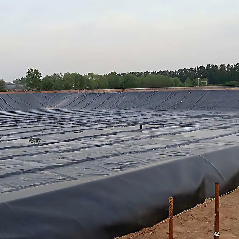 ASTM 100% Virgin Waterproof Aquiculture Pond Liner High Density HDPE Geomembrane Dam Pond Liner