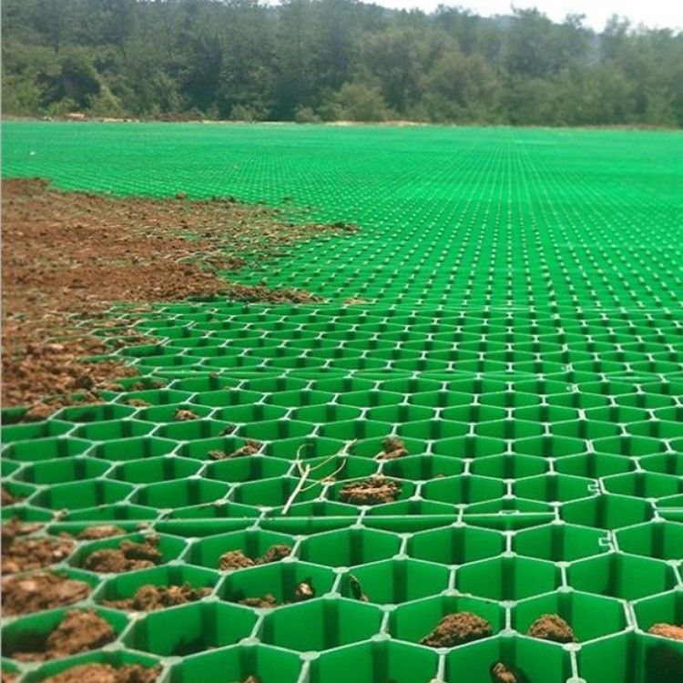Zware grindrooster doorlaatbare graspaviljoen HDPE-plastic graspaviljoen voor oprit