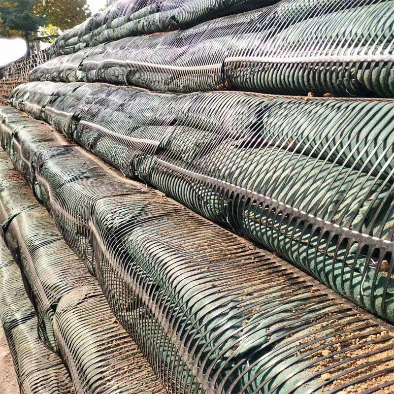 PP-Plastic PE-eenrichtings-eenassige polyester-geogrid-gravelgrid-grondstabilisator voor bodemversterking