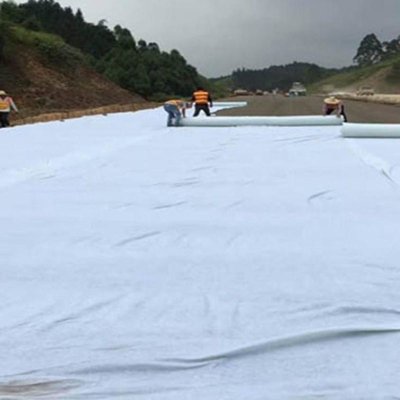 Wit Zwart Niet-geweven naald geperst geotextiel PET PP voor weg, snelweg en spoorweg