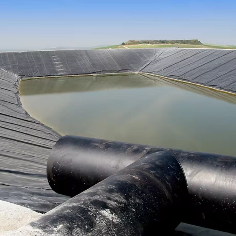 Persoonlijke HDPE LDPE LLDPE PVC Geomembranen Pond Liner voor vis en garnalen Pond & Versterkt Polyethyleen Pond Liner