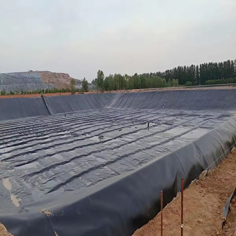 Persoonlijke HDPE LDPE LLDPE PVC Geomembranen Pond Liner voor vis en garnalen Pond & Versterkt Polyethyleen Pond Liner