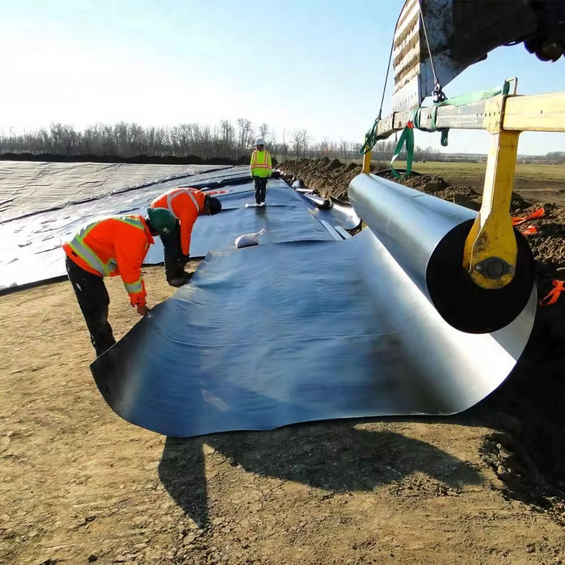 Persoonlijke HDPE LDPE LLDPE PVC Geomembranen Pond Liner voor vis en garnalen Pond & Versterkt Polyethyleen Pond Liner