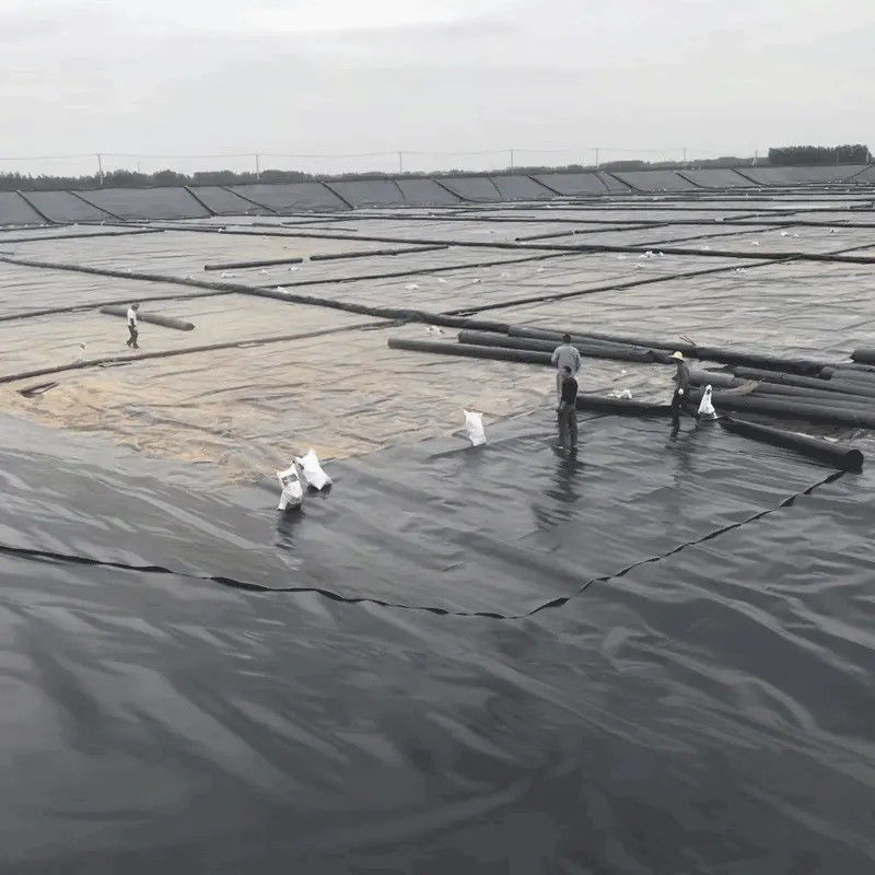Hoogwaardige zwarte HDPE geomembrane vijvervoering 0,5 mm ∼2,0 mm voor vishouderij, aquicultuurvijvers, wateropslagreservoirs en dam waterdichtheid