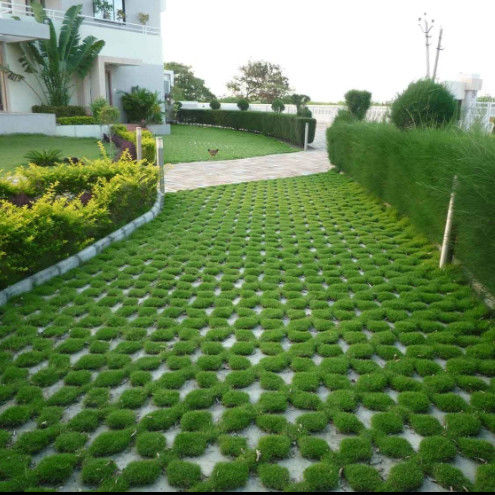 Plastic Grass Grid voor Parkeerterrein Branduitgang HDPE Pavers Geogrid voor Landschap Grond Geocell Gravel Paddock Grid