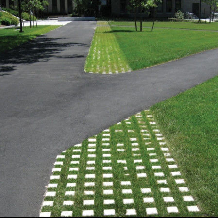 Plastic Grass Grid voor Parkeerterrein Branduitgang HDPE Pavers Geogrid voor Landschap Grond Geocell Gravel Paddock Grid
