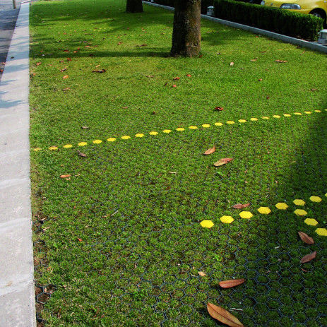 Plastic Grass Grid voor Parkeerterrein Branduitgang HDPE Pavers Geogrid voor Landschap Grond Geocell Gravel Paddock Grid