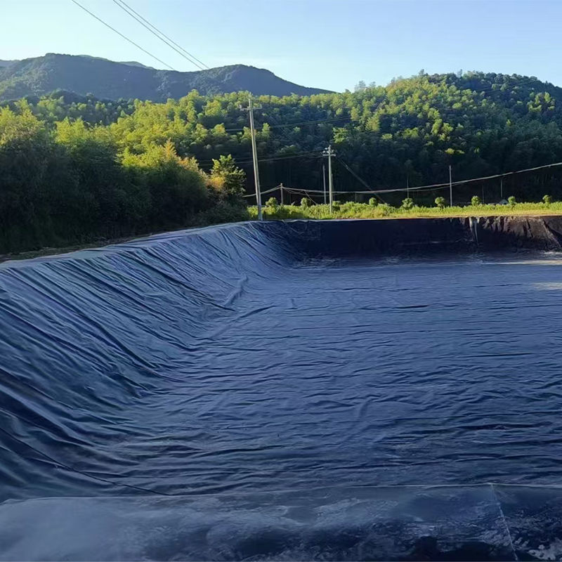 0.75-2.5mm HDPE Geomembrane Pond Liner Voor stortplaatsen Vissen Garnalen Pond Dam Landfill Liner Mijnen