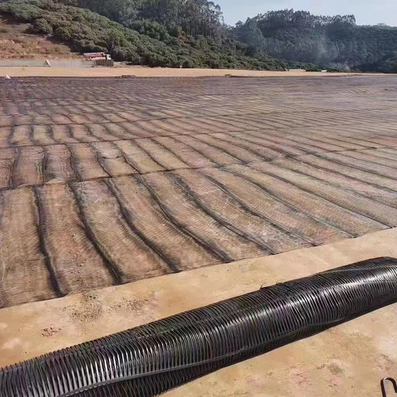 Versterking Biaxiaal Plastic PP PE Uniaxiaal Composiet Gerekt HDPE Geogrid Weg Spoorweg Constructie