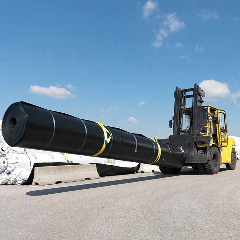 HDPE Geomembraanfolie voor aquacultuur, viskwekerij, vijver, dam, zwembad en wateropslagtoepassingen