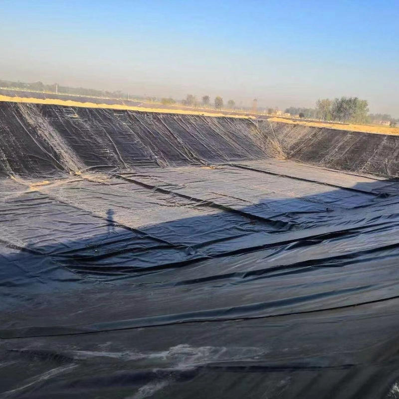 HDPE Geomembraanfolie voor aquacultuur, viskwekerij, vijver, dam, zwembad en wateropslagtoepassingen