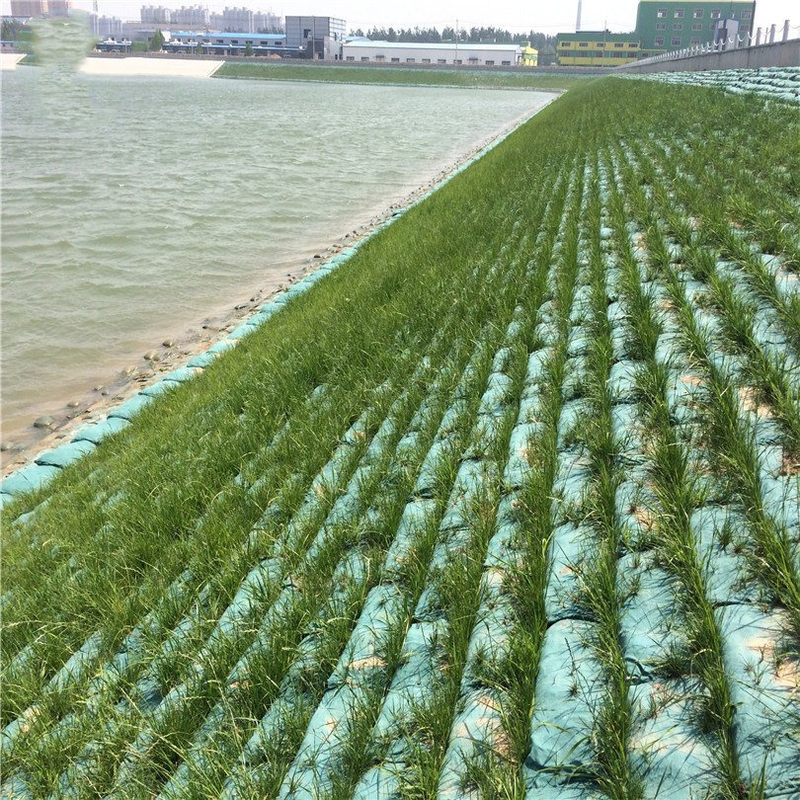 Geotextiel Geobag voor industriële 40*80cm Geotextiel Geobag voor afslagbescherming van snelwegen Geotextiel Geobag Bebossing Planting Grass Flood Control Geotextiel Geobag