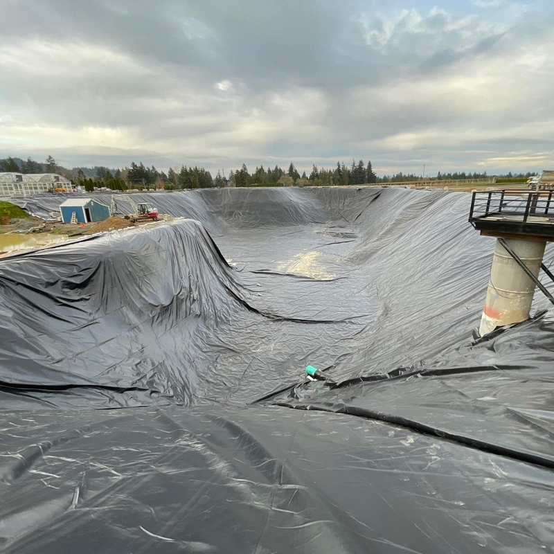 Buiten-polyethyleen vishouderij Geomembrane vijvervoering HDPE-containmentvoering Grote vijvervoering Waterdicht geomembrane vijvervoering