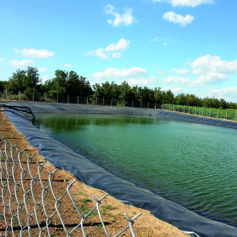 Buiten-polyethyleen vishouderij Geomembrane vijvervoering HDPE-containmentvoering Grote vijvervoering Waterdicht geomembrane vijvervoering