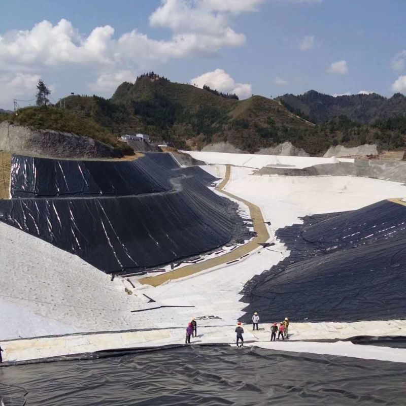 Hard Black Liner Hdpe Waterproof Pond Liner Geomembrane Polyethyleen Fabrieksprijs te koop