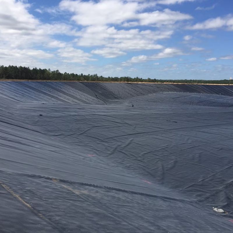 Hard Black Liner Hdpe Waterproof Pond Liner Geomembrane Polyethyleen Fabrieksprijs te koop