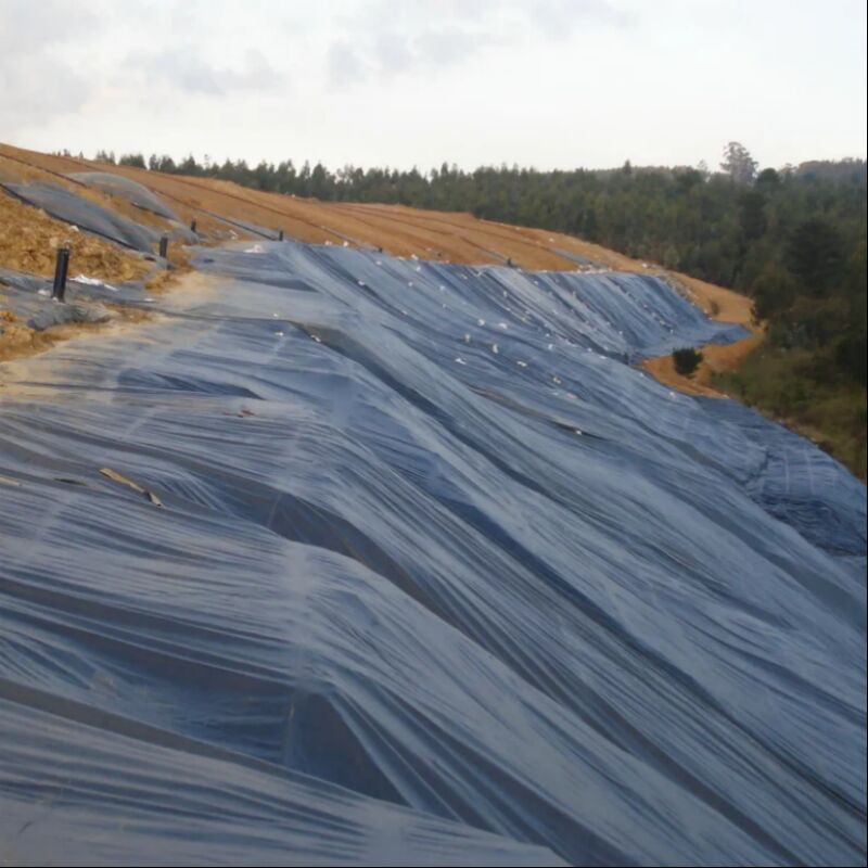 Waterdichte gladde oppervlakte landbouw vijverfolie vis garnalenkweek kunstmatig meer stortplaats HDPE geomembraan